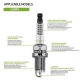 Spark Plug